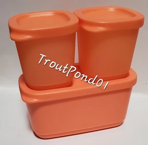 Tupperware Básico Brillante Cuadrado Redondo Mini Coral Naranja Almacenamiento Nevera Snack Set - Imagen 1 de 5