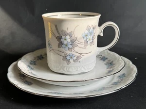 VINTAGE MITTERTEICH BAVARIA TRIO TASSE UNTERTASSE TELLER VERGISSMEINKNOTEN - Bild 1 von 11