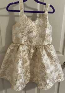 Girls Dress Pink Violet NWT Ivory and Gold Lame Embroidery Size 8 - Picture 1 of 5
