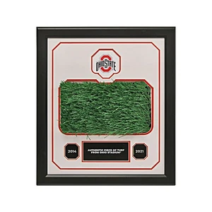 Ohio State Turf & Logo Framed Collage With Piece of Authentic Ohio Stadium Turf - Picture 1 of 4