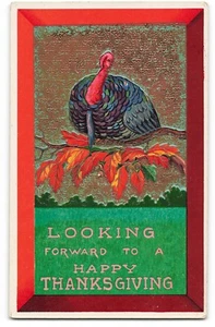 Looking forward to Happy Thanksgiving turkey embossed gilded postcard AB215 - Picture 1 of 2