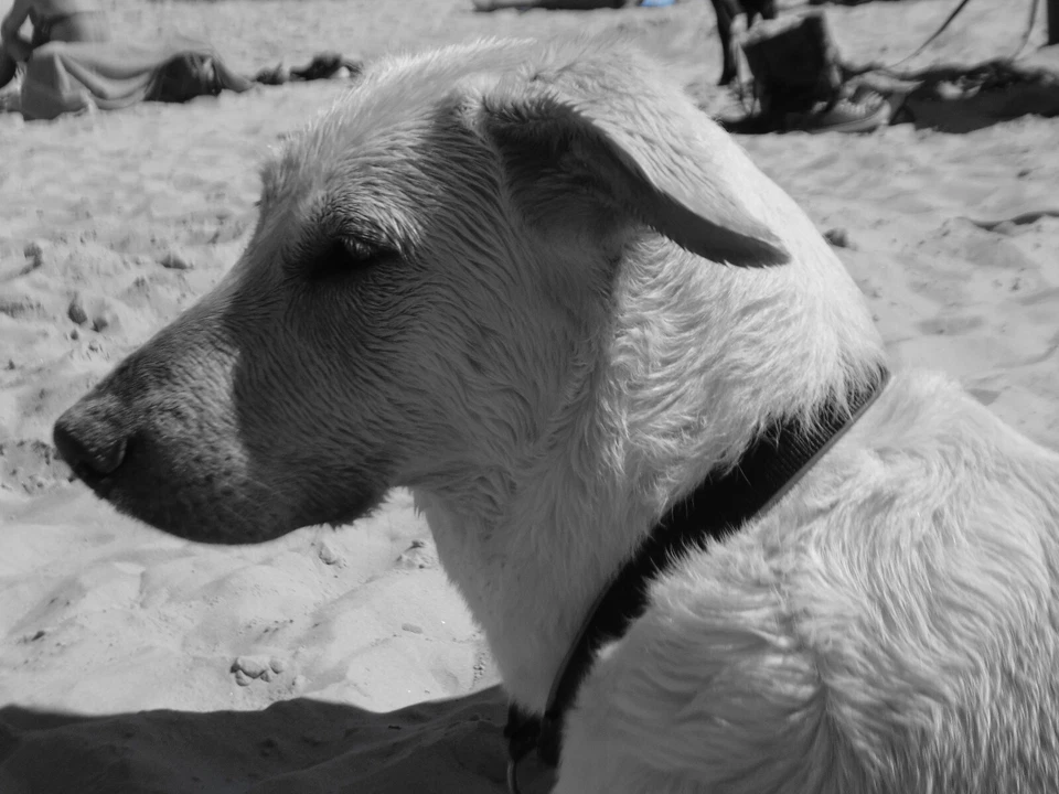 TomTom VIA 135 M Navigationssystem Europa 45 Länder, Canada, Alaska OVP - Bild 1 von 1