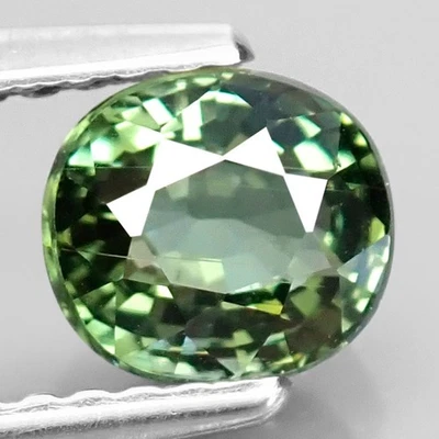 0,88 quilates BONITA TURMALINA VERDE MOZAMBIQUE PIEDRA PRECIOSA NATURAL FORMA OVALADA EN MUY BUEN ESTADO Foto 1 de 2