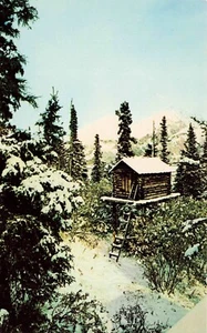 PC vintage de caché de comida de Alaska, Alaska - Imagen 1 de 2