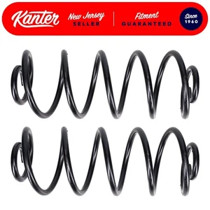2 REAR Coil Springs 1971-1973 Chevrolet BelAir Biscayne Caprice Impala NEW PAIR - Picture 1 of 6