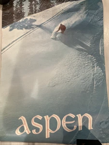 Vintage Aspen Mountain Colorado Ski Poster - Foto von Bob Chamberlin - Bild 1 von 7
