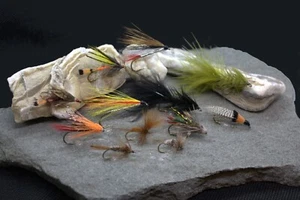 Ensemble de 12 mouches à pêche pour la truite ou autres poissons d'eau douce - Photo 1 sur 21