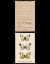 Mayfairstamps Victorian Trade Card Cadbury's Cocoa Butterflies wwu_30529