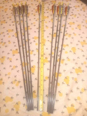 Beman Carbon ICS Hunter 340 Arrows (9) - Image 1 of 4