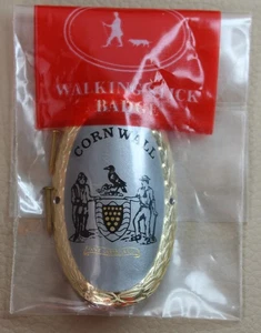 * CORNWALL  WALKING STICK SHEILD UNUSED  BADGE PIN  #WFJ21 - Picture 1 of 5