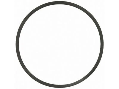 For 1996-1997 International 4700LPX Thermostat O-Ring Felpro 74995FRCG 7.3L V8 Foto 1 de 2