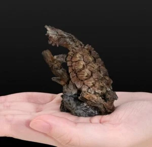 Japan Mata Mata Turtle Tortoise PVC Mini Model Figurine Figure with stand - Picture 1 of 2
