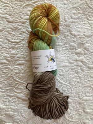 Northern Bee Studio Soft DK Yarn Multi Color Hank Cashmere SW Merino Nylon - Image 1 of 4