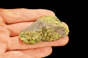 Peridot Basalt 3" x 1 1/2" 4 Oz natürliches Berg Mineral Probe Heilkristall - Bild 1 von 1