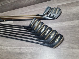 SAMURAI Competitive Edge Graphite Iron Set RH Graphite Golf Club Lot (11 Clubs) - Picture 1 of 24