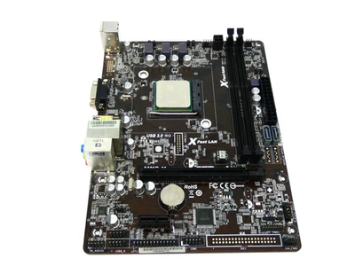 Socket ASrock AM1B-M AM1 con CPU Sempron 2650 1,45 GHz - Immagine 1 di 4