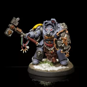 Pro Painted Warhammer 40k Space Wolves Terminator - Picture 1 of 6