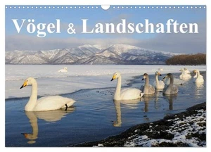 Vögel & Landschaften (Wandkalender 2025 DIN A3 quer), CALVENDO Monatskalender - Bild 1 von 15