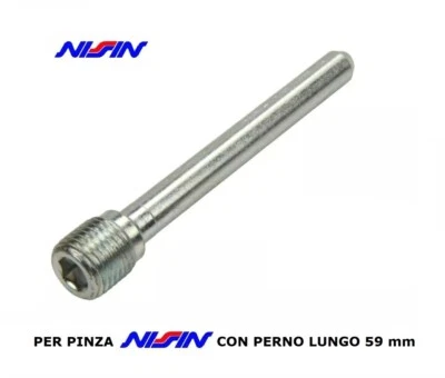 Tiger 800 / 1200 da 2011 a 2015 Vite Pinza Anteriore Perno Blocca Pastiglie + - Immagine 1 di 4