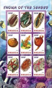 Fauna of the Seabed Shells vida marina m/s Ruanda 2010 montado sin montar o nunca montado #l224 imperf - Imagen 1 de 1
