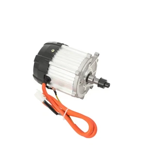 Elektroauto Dreiradmotor 5 Loch 16 Zähne Differentialmotor 48/60V500/650/800 - Bild 1 von 12