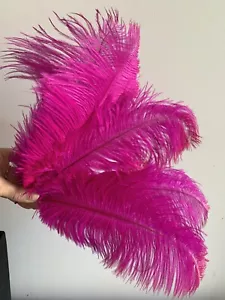 5pcs Hot Pink Ostrich Feathers 30cm DIY Craft Millinery Decor Costume Wedding - Picture 1 of 4