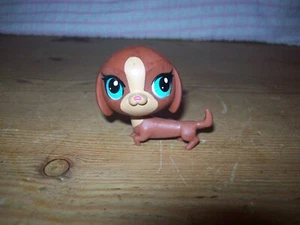 Littlest Pet Shop - Dackel - braun - Bild 1 von 2