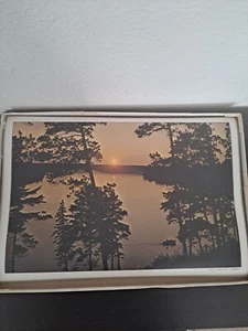 Lote De Colección De 6 Colchonetas Vinilo Estado Minnesota con CAJA DE RECUERDO - Imagen 1 de 11