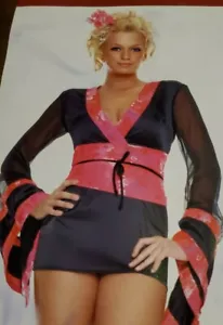Leg Avenue Sexy Short Kimono Geisha Mini Dress Mesh Sleeved Costume Medium M New - Picture 1 of 5