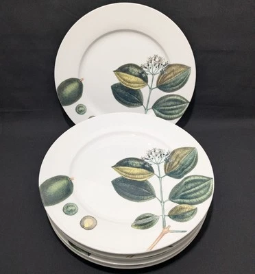 Tommy Bahama Porcelain Dinner Plates Set of 4 Vintage Botanical Tropical Rare - Image 1 of 4