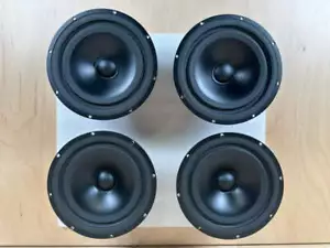 Woofer Meridian DSP5000 SEAS modello P17 RCY-BS H514-08 - Foto 1 di 22