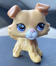 Littlest Pet Shop LPS Collie Dog #2452