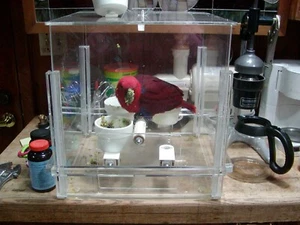 PARROT MESS-FREE FEEDER - the KITCHEN KUBE - Picture 1 of 7
