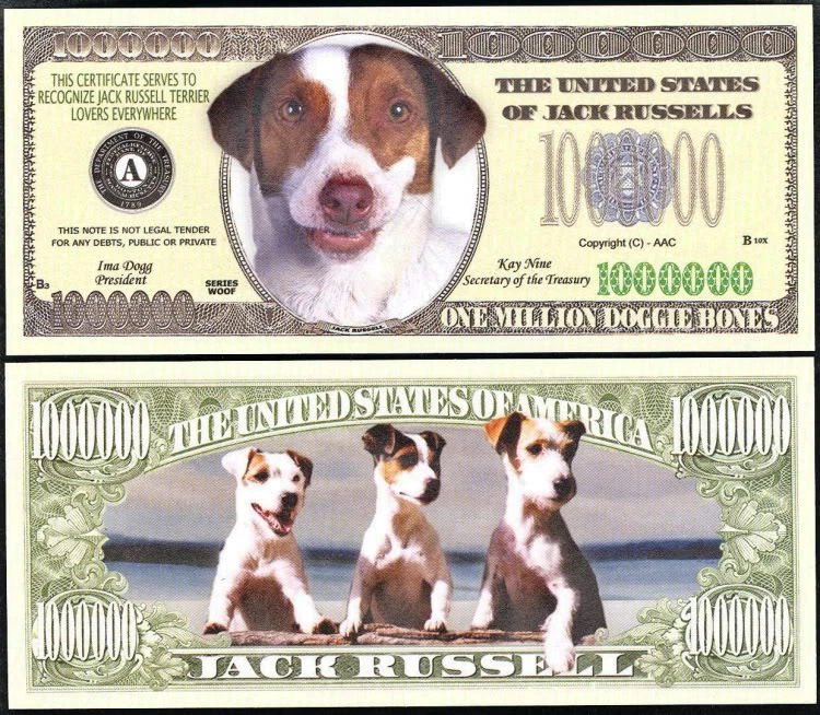 LOT OF 25 - JACK RUSSELL DOG MILLION DOLLAR BILL