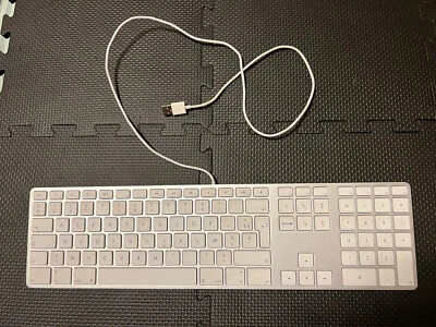 tastiera apple a1243 Originale Usata AZERTY (francese) - Immagine 1 di 3