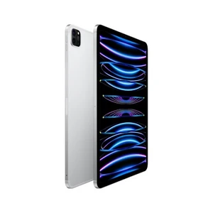 Apple iPad Pro 11' 4. Generation 256 GB Silber + Apple Pencil 2. Generation - Bild 1 von 2