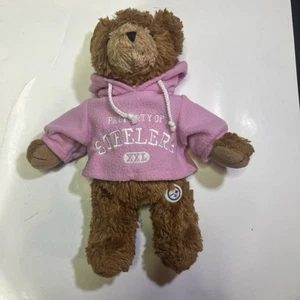 NFL Pittsburgh Property Of Steelers Teddy Bear Good Stuff Plush Animal Pink - Picture 1 of 14