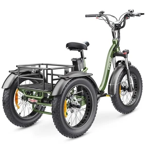 VIPCOO ET1 3 Räder Fahrrad 750W 20Ah Elektrofahrrad 20 Zoll Elektro Dreirad Korb - Bild 1 von 24