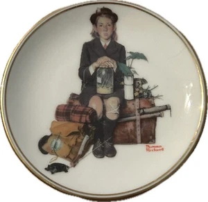 Norman Rockwell Miniature Collector’s Plate “RETURNING FROM CAMP” Vintage D1-26 - Picture 1 of 2