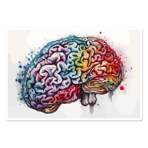 Human Brain Vinyl Decal Sticker - ebn11676 - Picture 1 of 1