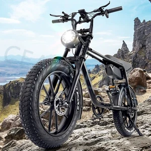 20 Zoll eBike 48V 15AH E-Mountainbike 25km/h Fat Tyre ebike 750W Elektrofahrrad - Bild 1 von 24