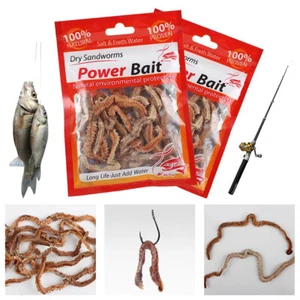 Señuelos de pesca vivos de gusanos de arena secos naturales de 6-10 g para bagre olor a pescado cebo suave - Imagen 1 de 23