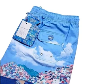 Peter Millar Seaside Mens XL Road to Riviera Print Swim Trunks - Picture 1 of 8