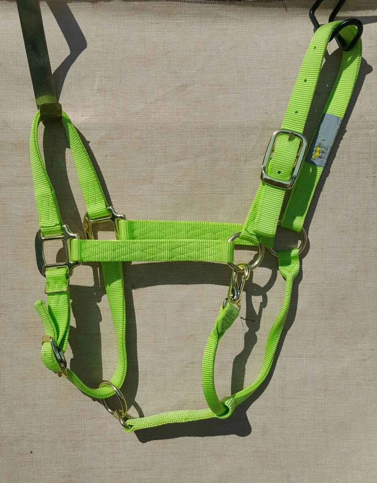 LOTE DE 6 - Novo em folha cabresto premium LIME por Hamilton TAMANHO MÉDIO CAVALO - Imagem 1 de 1