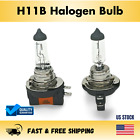 H11B Halogen Headlight Bulb Pair (2 Bulbs)