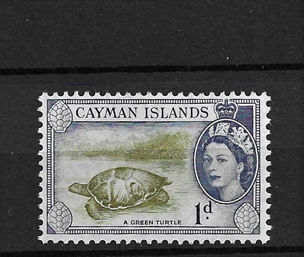 Islas Caimán 1953 1d Marrón Oliva e Índigo - Tortuga Verde MNH Set S.G. 150 Foto 1 de 1