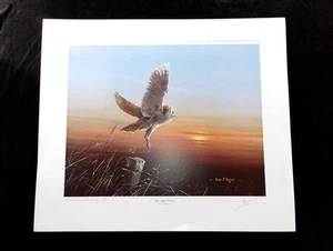 Alan B Hayman The Night Control Signed Print Limited Edition Eule - Bild 1 von 7