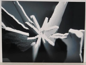 Eva Weinert /verso autografata / stampa fotografica / 2007 / 75 copie? - Foto 1 di 4