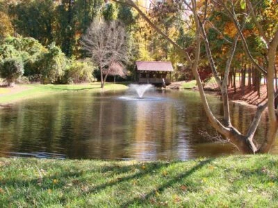 Scott Aerator DA-20 Display Aerator, 1/2 HP, 230 V, 150' Cord - Image 1 of 3