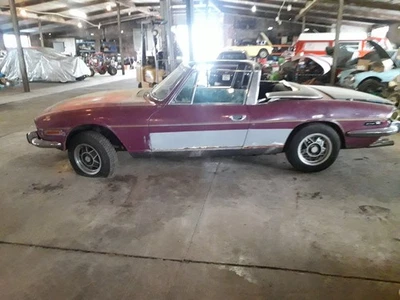 triumph stags x 2 magenta project - Image 1 of 4